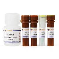 总抗氧化能力检测试剂盒(FRAP法)