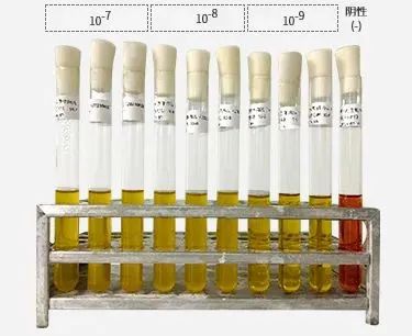 恭喜！国内干细胞新药上市申请获受理