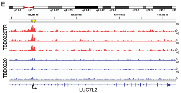 产品细节图片13