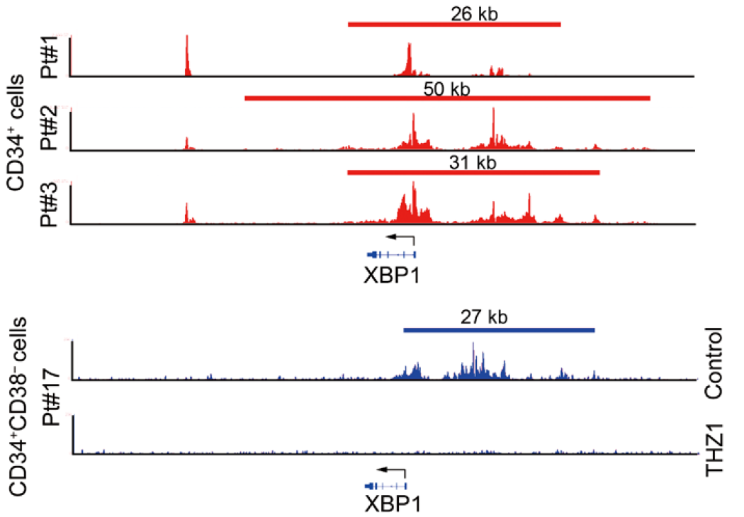 产品细节图片15