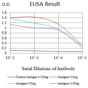 Mouse Monoclonal Antibody to C