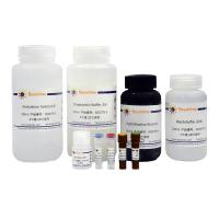Biotin Fluorescence in Situ Hybridization Kit for RNA (Green)