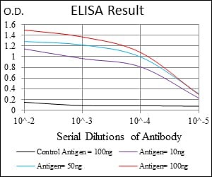 Mouse Monoclonal Antibody to C