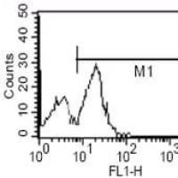 Mouse Monoclonal Antibody to CD14
