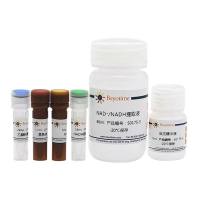 NAD+/NADH检测试剂盒(WST-8法)