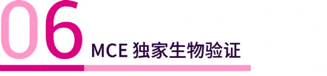 实验操作 | 帕金森病造模方法盘点 & 技巧全解析！| MedChemExpress (MCE)