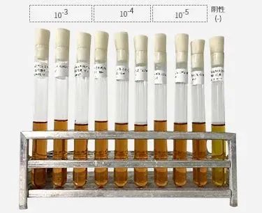 恭喜！国内干细胞新药上市申请获受理