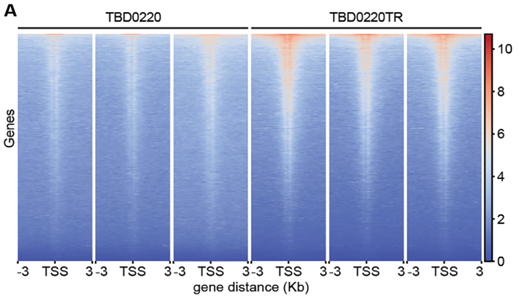 产品细节图片11