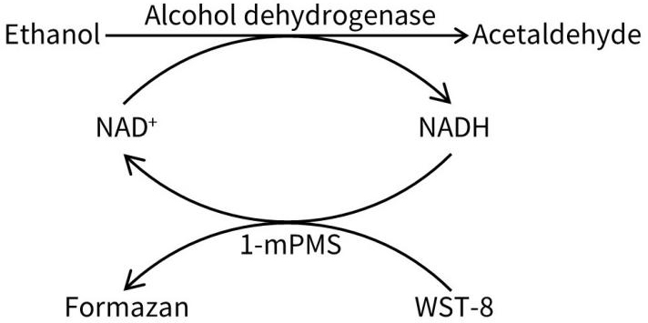 NAD+/NADH检测试剂盒(WST-8法)
