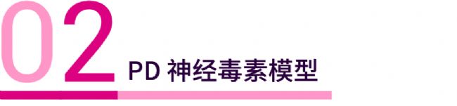 实验操作 | 帕金森病造模方法盘点 & 技巧全解析！| MedChemExpress (MCE)