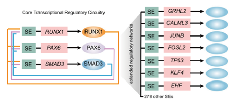 产品细节图片10