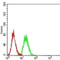 Mouse Monoclonal Antibody to CD16