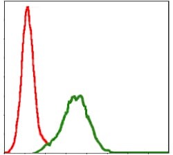 Mouse Monoclonal Antibody to C