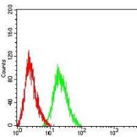 Mouse Monoclonal Antibody to CD21