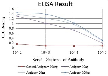 Mouse Monoclonal Antibody to C