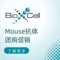Mouse体内功能抗体团购促销,PD-1/PD-L1帮你省掉7600+元