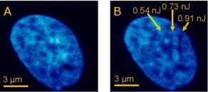 原位细胞3D切割成像平台-CellSurgeon
