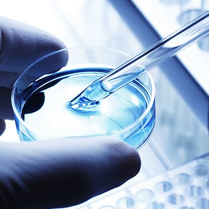 细胞库分析服务