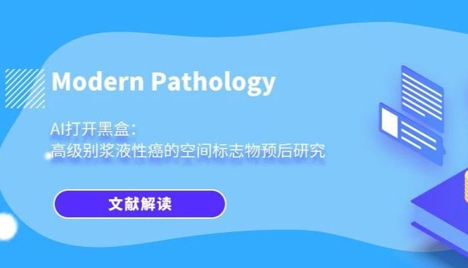 AI打开黑盒：高级别浆液性癌的空间标志物预后研究