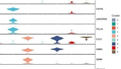 使用SBC ToolBox一键展示单细胞marker基因堆叠提琴图