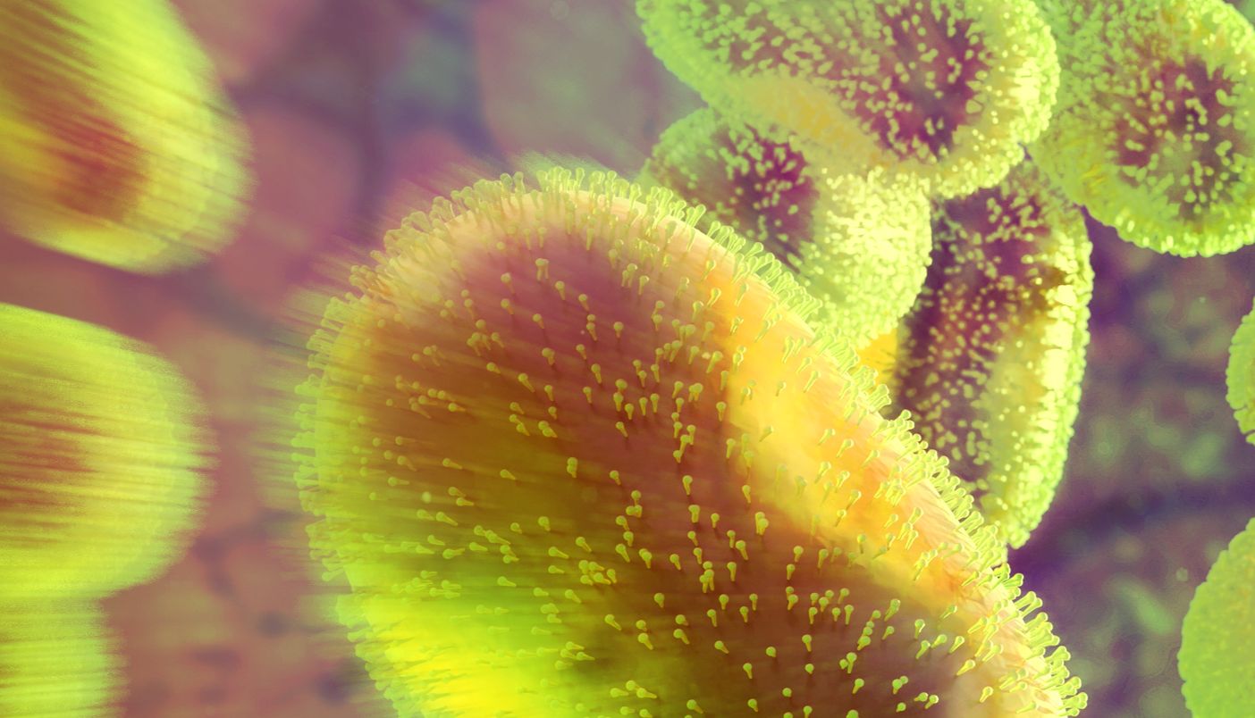 GeneTex新上架猴痘病Mpox研究重组单抗