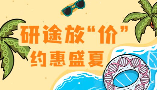 研途放“价”，约惠盛夏