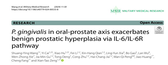 牙龈卟啉单胞菌通过IL-6/IL-6R加剧良性前列腺增生