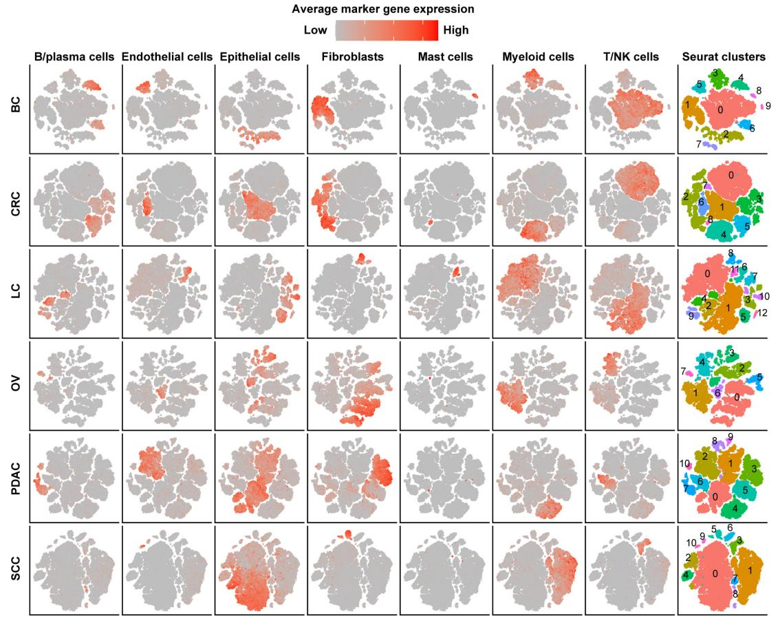 文献解读——低氧与肿瘤巨噬细胞研究