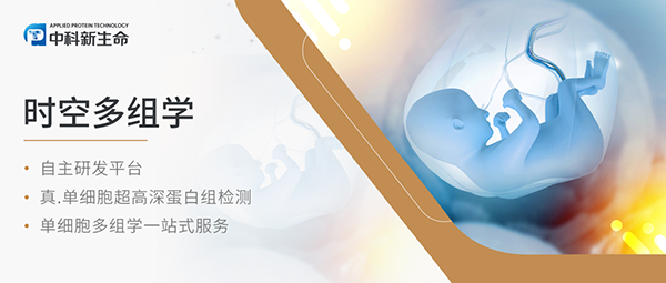 Cell Stem Cell （IF 19.8）| 荷兰团队研究揭示转录因子调控哺乳动物胚胎发育的奥秘