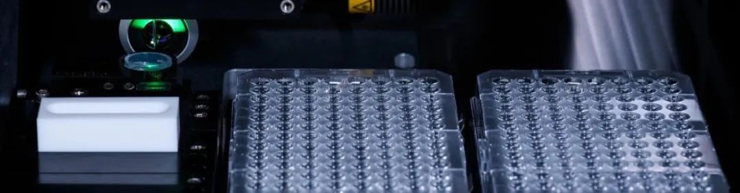 SpheroONE®自动化3D球体分选技术助力药物筛选