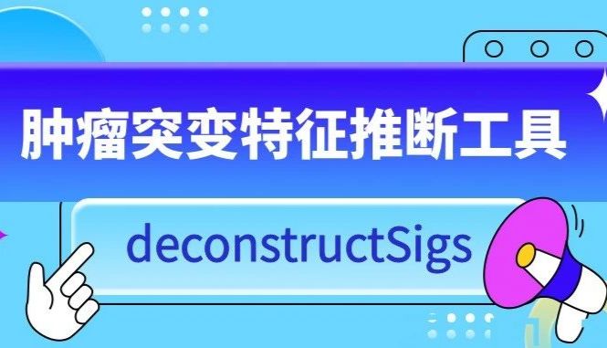 肿瘤突变特征推断工具deconstructSigs