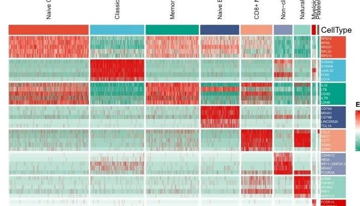 使用SBCToolBox画一张美美的单细胞marker基因热图