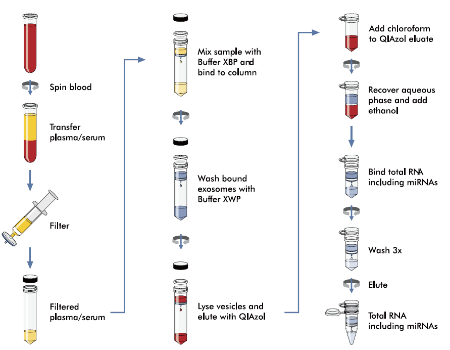 最后一棒！细胞外囊泡研究国际指南MISEV2023