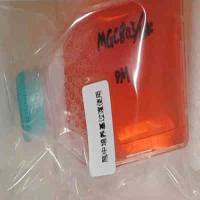 小鼠肥大细胞瘤细胞;P815 (种属鉴定)