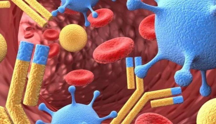 解锁自身抗体：结肠炎诊断的新钥匙