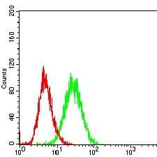 Mouse Monoclonal Antibody to CD36