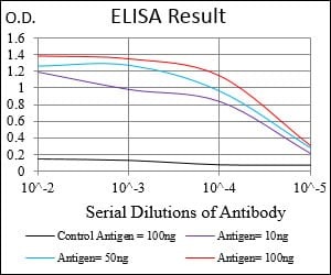 Mouse Monoclonal Antibody to C