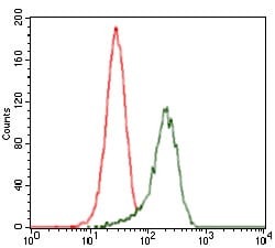 Mouse Monoclonal Antibody to S