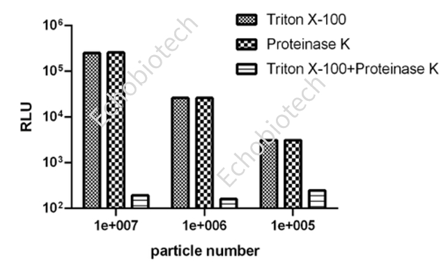 外泌体蛋白负载服务|蛋白膜内外工程化装载/靶向递送|酶和蛋白