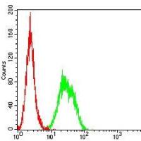 Mouse Monoclonal Antibody to CD35