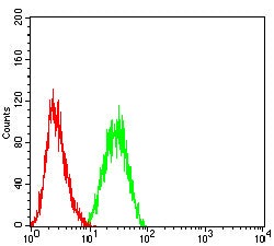 Mouse Monoclonal Antibody to C