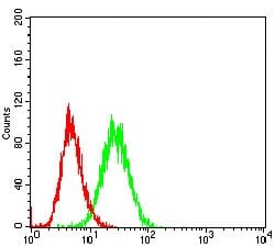 Mouse Monoclonal Antibody to C