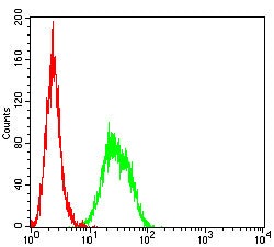 Mouse Monoclonal Antibody to C