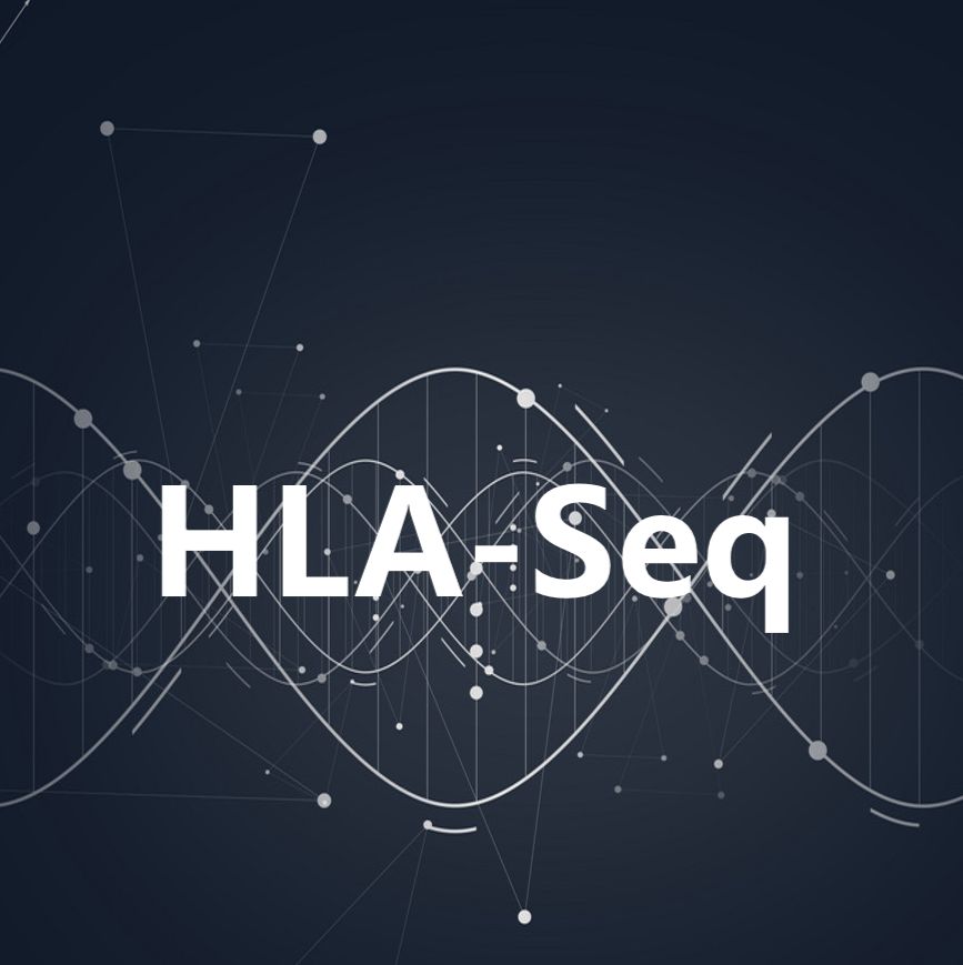HLA分型 HLA-Seq