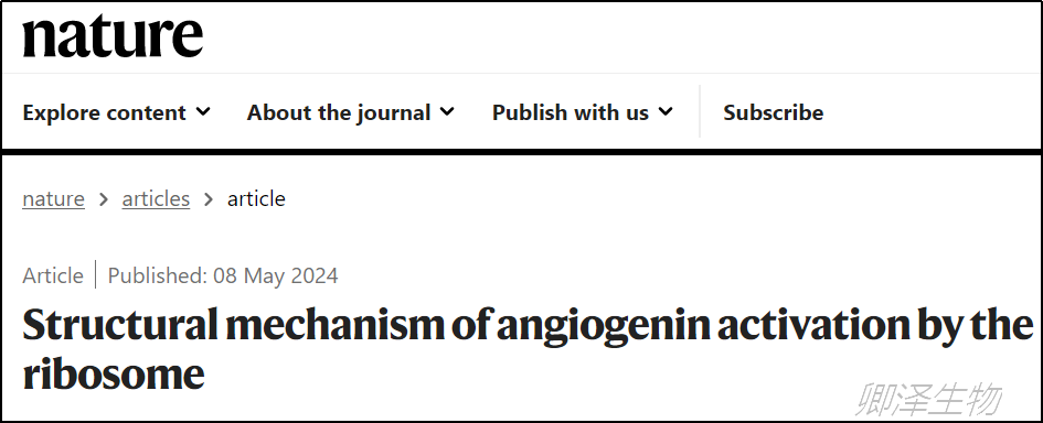 Nature. | 核糖体激活血管生成素的结构机制