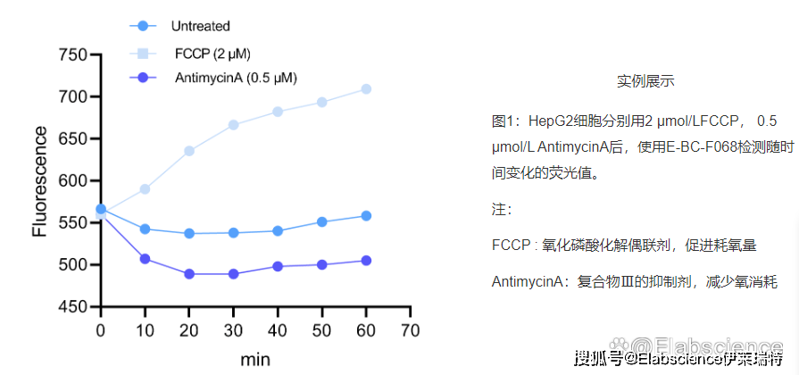 Elabscience®推出17款细胞代谢试剂盒，涉及能量代谢、铜死亡等