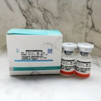 副溶血性弧菌质控样品