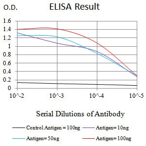 Mouse Monoclonal Antibody to C