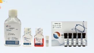 支原体被感染后，如何高效检测及清除！