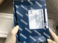 NeXtal Tubes Cations Suite